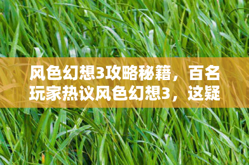 百名玩家热议风色幻想3图片