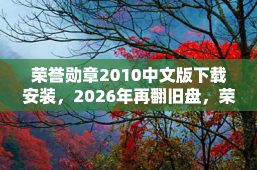 荣誉勋章2010中文版下载安装图片