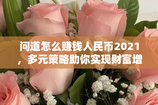 问道怎么赚钱人民币2021，多元策略助你实现财富增长，2021多元策略助你实现财富增长，问道如何赚取人民币