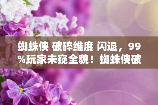 蜘蛛侠 破碎维度 闪退图片