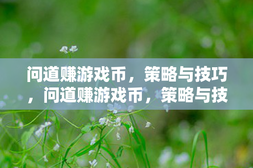 问道赚游戏币,策略与技巧,问道赚游戏币,策略与技巧全解析 问道赚游戏币,策略与技巧,问道赚游戏币,策略与技巧全解析