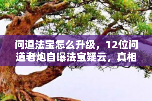 12位问道老炮自曝法宝疑云图片