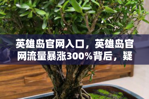 英雄岛官网流量暴涨300图片