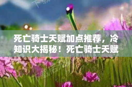 死亡骑士天赋加点推荐图片