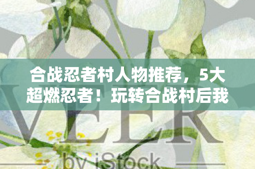 合战忍者村人物推荐，5大超燃忍者！玩转合战村后我直呼爽到飞起！