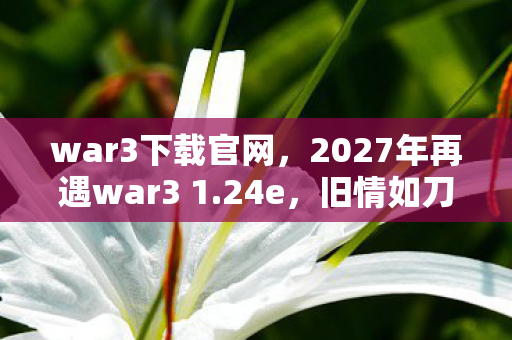 war3下载官网，2027年再遇war3 1.24e，旧情如刀，鼻子一酸，谁还记得那年？