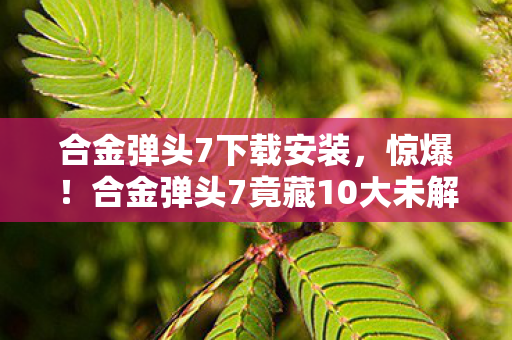 合金弹头7下载安装，惊爆！合金弹头7竟藏10大未解之谜，下载即刻揭开神秘面纱！