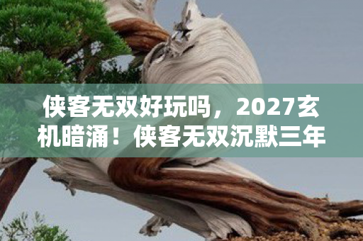 侠客无双好玩吗，2027玄机暗涌！侠客无双沉默三年，竟藏这般人生密码？