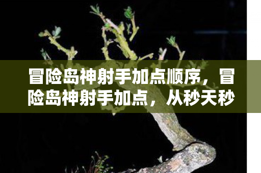 从秒天秒地到刮痧大师的落差真相图片