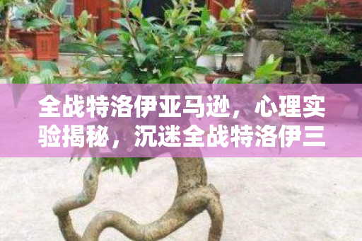 沉迷全战特洛伊三年图片
