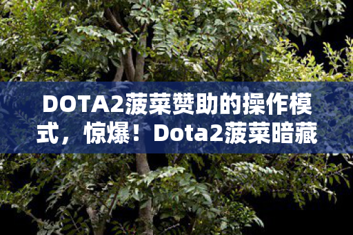 DOTA2菠菜赞助的操作模式图片
