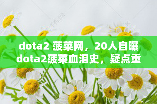 20人自曝dota2菠菜血泪史图片
