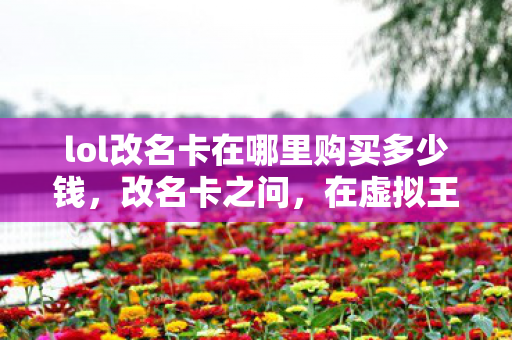 lol改名卡在哪里购买多少钱图片