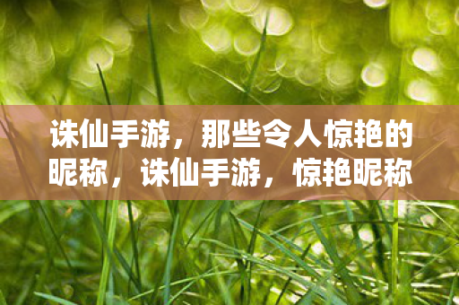 诛仙手游，那些令人惊艳的昵称，诛仙手游，惊艳昵称大盘点