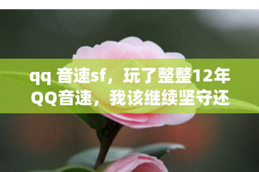 我该继续坚守还是彻底说再见图片