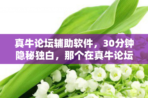 真牛论坛辅助软件，30分钟隐秘独白，那个在真牛论坛哽咽着通关的少年，如今还好吗？