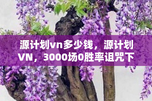 我竟在2027年深夜按下了这个键图片