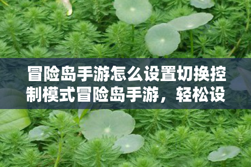 冒险岛手游怎么设置切换控制模式冒险岛手游,轻松设置切换控制,提升游戏体验,冒险岛手游,如何设置切换控制模式,提升游戏体验 冒险岛手游怎么设置切换控制模式冒险岛手游,轻松设置切换控制,提升游戏体验,冒险岛手游,如何设置切换控制模式,提升游戏体验