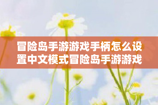 冒险岛手游游戏手柄怎么设置中文模式冒险岛手游游戏手柄怎么设置中文，冒险岛手游游戏手柄如何设置中文模式