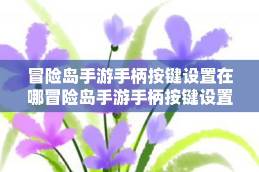 冒险岛手游手柄按键设置在哪冒险岛手游手柄按键设置优化指南，冒险岛手游手柄按键设置优化指南