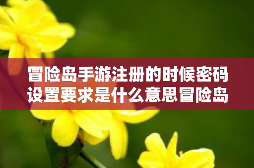 冒险岛手游注册的时候密码设置要求是什么意思冒险岛手游注册密码设置要求详解，冒险岛手游注册密码设置要求详解