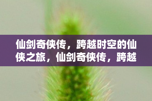 仙剑奇侠传，跨越时空的仙侠之旅，仙剑奇侠传，跨越时空的仙侠之旅