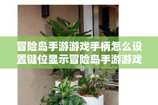 冒险岛手游游戏手柄怎么设置键位显示冒险岛手游游戏手柄怎么设置键位，冒险岛手游游戏手柄键位设置指南