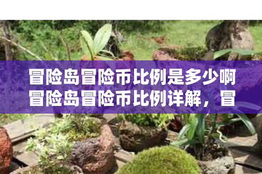 冒险岛冒险币比例是多少啊冒险岛冒险币比例详解，冒险岛冒险币比例详解