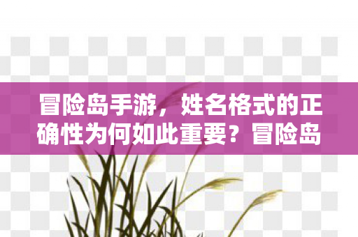 冒险岛手游，姓名格式的正确性为何如此重要？冒险岛手游，姓名格式正确性的重要性解析