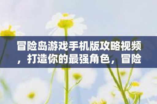 冒险岛游戏手机版攻略视频，打造你的最强角色，冒险岛手游攻略，打造你的最强角色