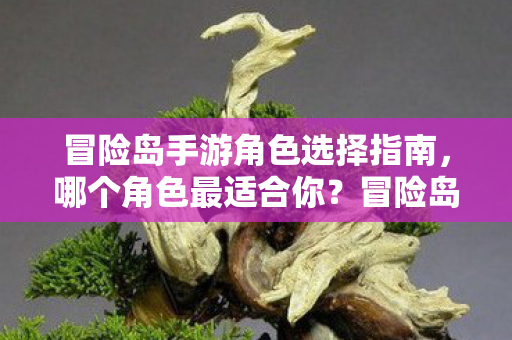 冒险岛手游角色选择指南,哪个角色最适合你?冒险岛手游角色选择指南,找到最适合你的角色! 冒险岛手游角色选择指南,哪个角色最适合你?冒险岛手游角色选择指南,找到最适合你的角色!