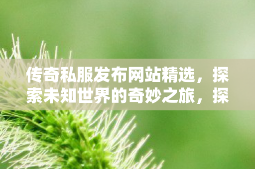 传奇私服发布网站精选，探索未知世界的奇妙之旅，探索未知世界的奇妙之旅，精选传奇私服发布网站