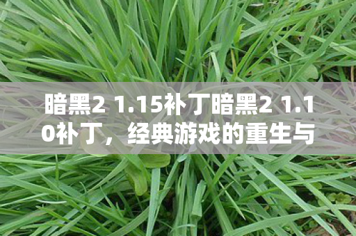 暗黑2 1.15补丁暗黑2 1.10补丁,经典游戏的重生与革新,暗黑2 1.15补丁,经典游戏的重生与革新 暗黑2 1.15补丁暗黑2 1.10补丁,经典游戏的重生与革新,暗黑2 1.15补丁,经典游戏的重生与革新