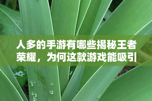 人多的手游有哪些揭秘王者荣耀,为何这款游戏能吸引如此多的玩家?揭秘王者荣耀,为何这款游戏能吸引如此多的玩家? 人多的手游有哪些揭秘王者荣耀,为何这款游戏能吸引如此多的玩家?揭秘王者荣耀,为何这款游戏能吸引如此多的玩家?