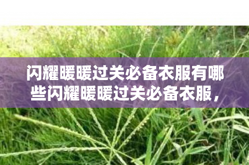闪耀暖暖过关必备衣服有哪些闪耀暖暖过关必备衣服，打造完美搭配，轻松过关，闪耀暖暖过关必备衣服，打造完美搭配，助你轻松过关