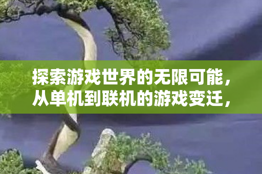探索游戏世界的无限可能,从单机到联机的游戏变迁,从单机到联机,探索游戏世界的无限可能 探索游戏世界的无限可能,从单机到联机的游戏变迁,从单机到联机,探索游戏世界的无限可能