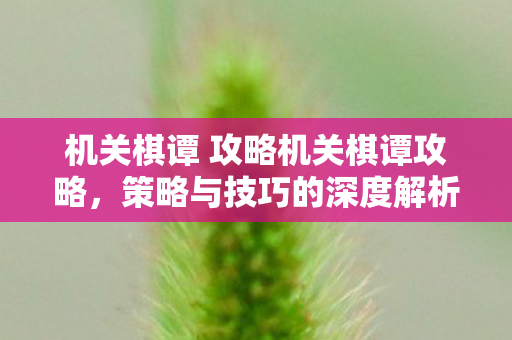 机关棋谭 攻略机关棋谭攻略，策略与技巧的深度解析，机关棋谭攻略，策略与技巧的深度解析