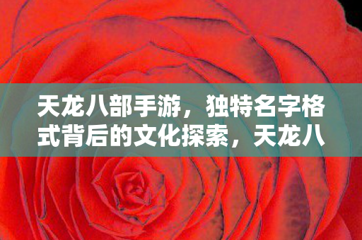 天龙八部手游，独特名字格式背后的文化探索，天龙八部手游名字格式背后的文化探索