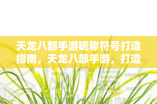 天龙八部手游昵称符号打造指南，天龙八部手游，打造独特昵称符号的指南