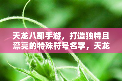天龙八部手游，打造独特且漂亮的特殊符号名字，天龙八部手游打造独特且漂亮的特殊符号名字