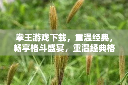 拳王游戏下载,重温经典,畅享格斗盛宴,重温经典格斗盛宴,拳王游戏下载 拳王游戏下载,重温经典,畅享格斗盛宴,重温经典格斗盛宴,拳王游戏下载