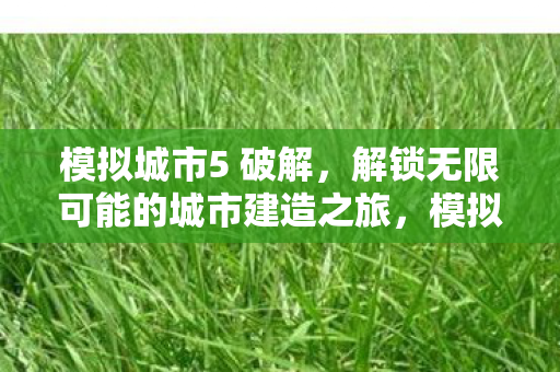 模拟城市5 破解，解锁无限可能的城市建造之旅，模拟城市5破解版，解锁无限可能的城市建造之旅