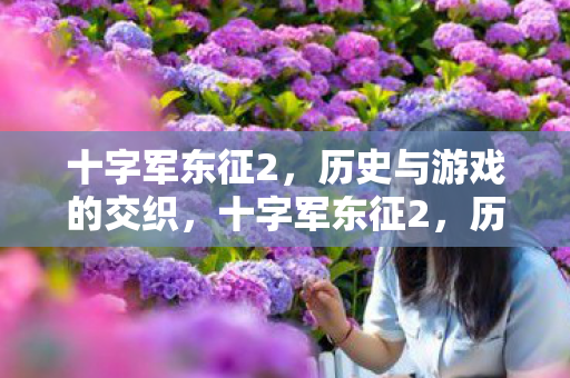 十字军东征2，历史与游戏的交织，十字军东征2，历史与游戏的碰撞与挑战