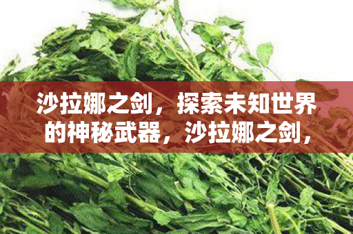 沙拉娜之剑，探索未知世界的神秘武器，沙拉娜之剑，解锁未知世界的神秘钥匙