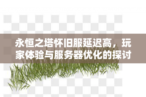 永恒之塔怀旧服延迟高，玩家体验与服务器优化的探讨，永恒之塔怀旧服延迟问题引发玩家热议，优化服务器，提升游戏体验