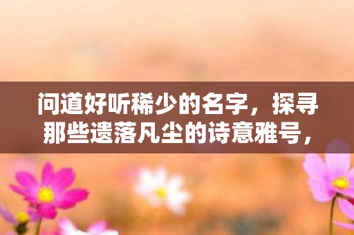 问道好听稀少的名字，探寻那些遗落凡尘的诗意雅号，探寻遗落凡尘的诗意雅号，好听稀少的名字推荐