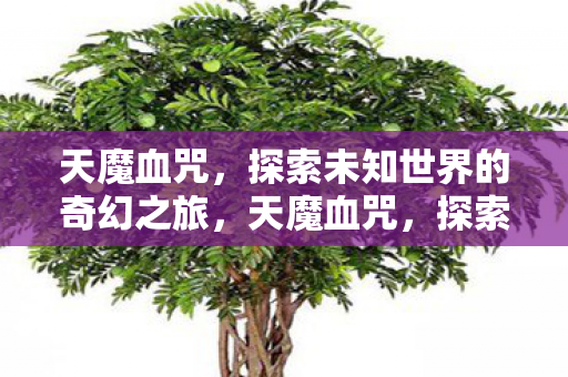 天魔血咒,探索未知世界的奇幻之旅,天魔血咒,探索未知世界的奇幻之旅 天魔血咒,探索未知世界的奇幻之旅,天魔血咒,探索未知世界的奇幻之旅