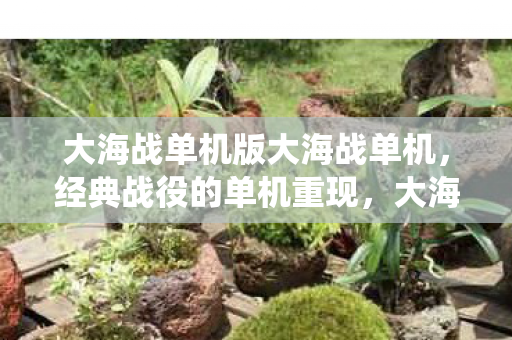 大海战单机版大海战单机,经典战役的单机重现,大海战单机版,经典战役单机重现 大海战单机版大海战单机,经典战役的单机重现,大海战单机版,经典战役单机重现
