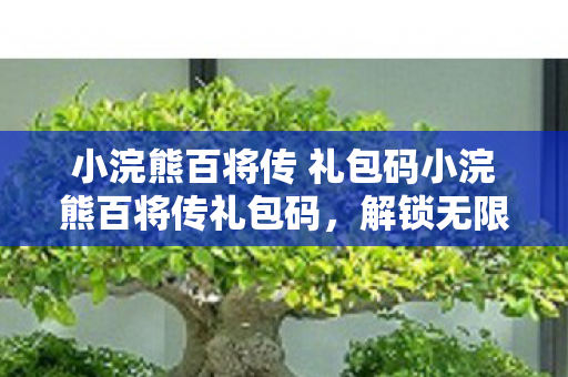 小浣熊百将传 礼包码小浣熊百将传礼包码，解锁无限可能的神秘钥匙，小浣熊百将传礼包码，解锁无限可能的神秘钥匙