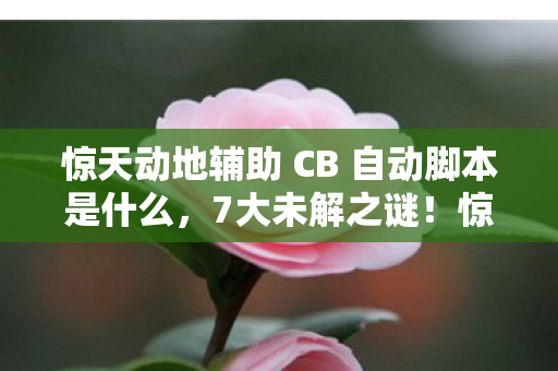 惊天动地辅助 CB 自动脚本是什么，7大未解之谜！惊天动地外挂背后，藏着多少玩家的血泪与真相？